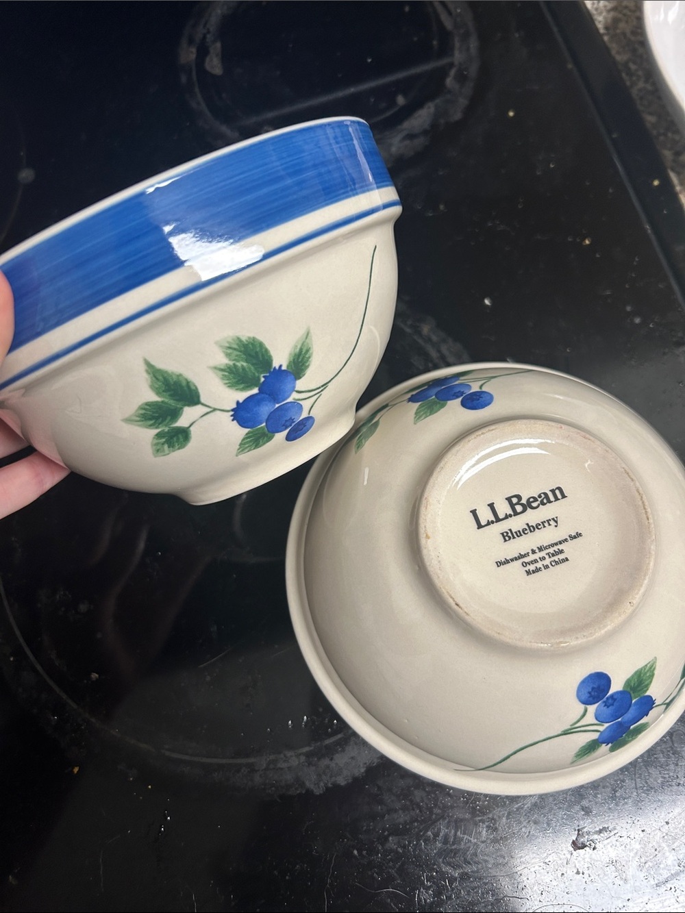2 L.L Bean Blueberry Bowls Retired 6.5”